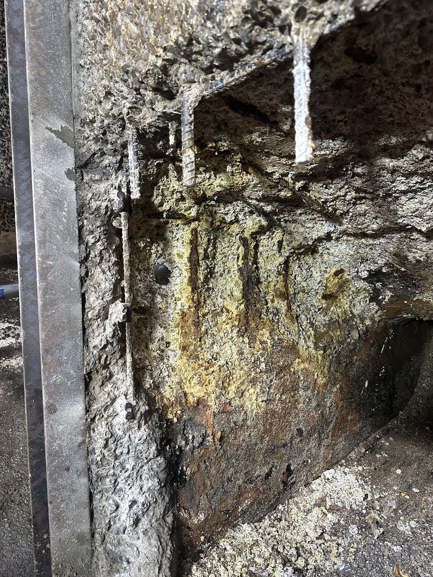 3. 7FB86A3D-FAA0-4E65-9E81-21C5EB502A43